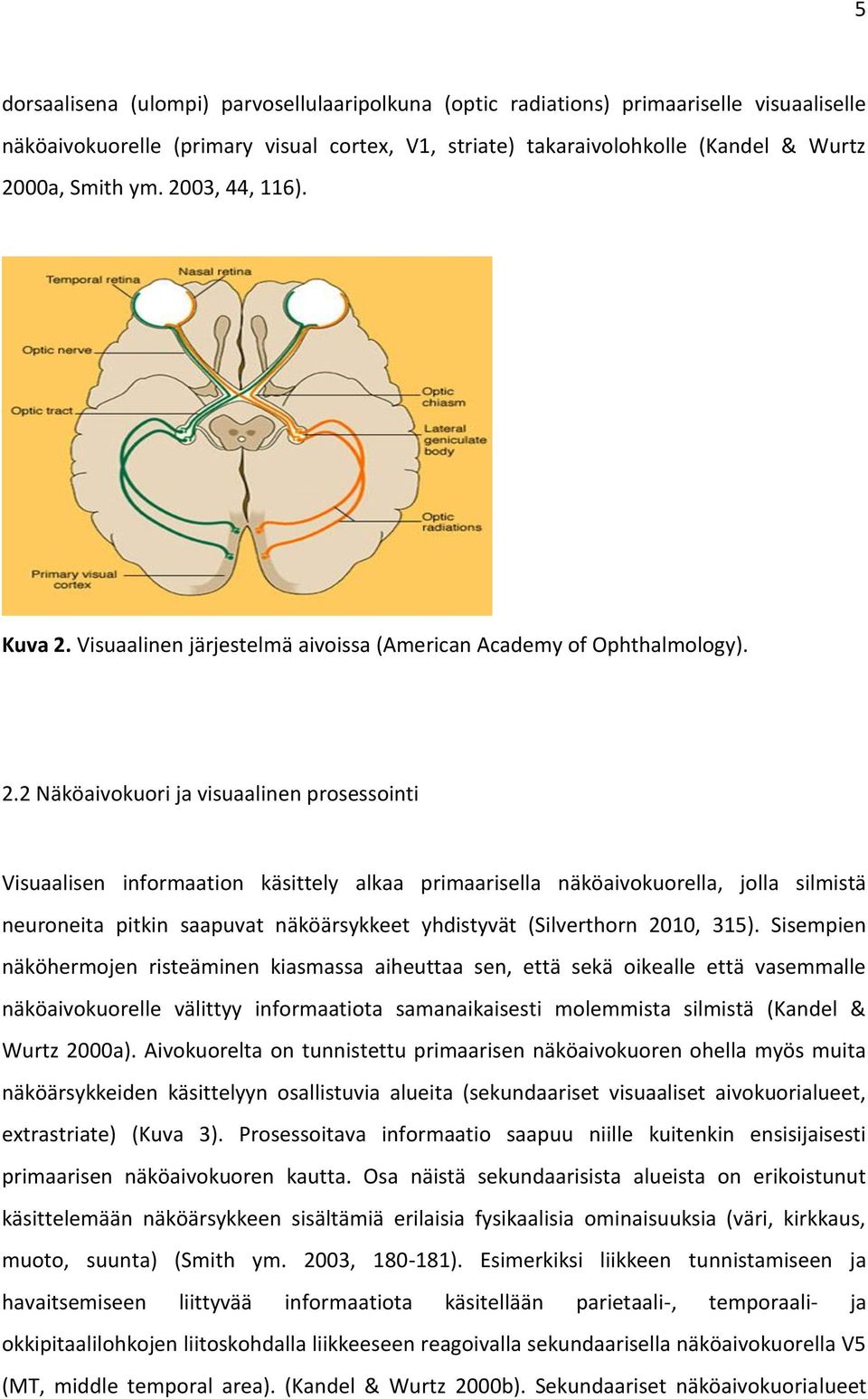 Visuaalinen järjestelmä aivoissa (American Academy of Ophthalmology). 2.