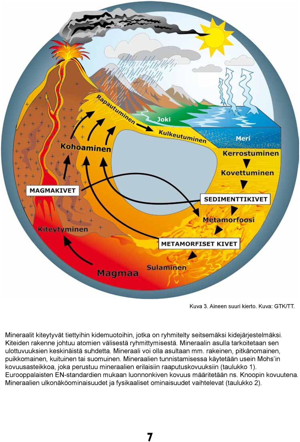 rakeinen, pitkänomainen, puikkomainen, kuituinen tai suomuinen.