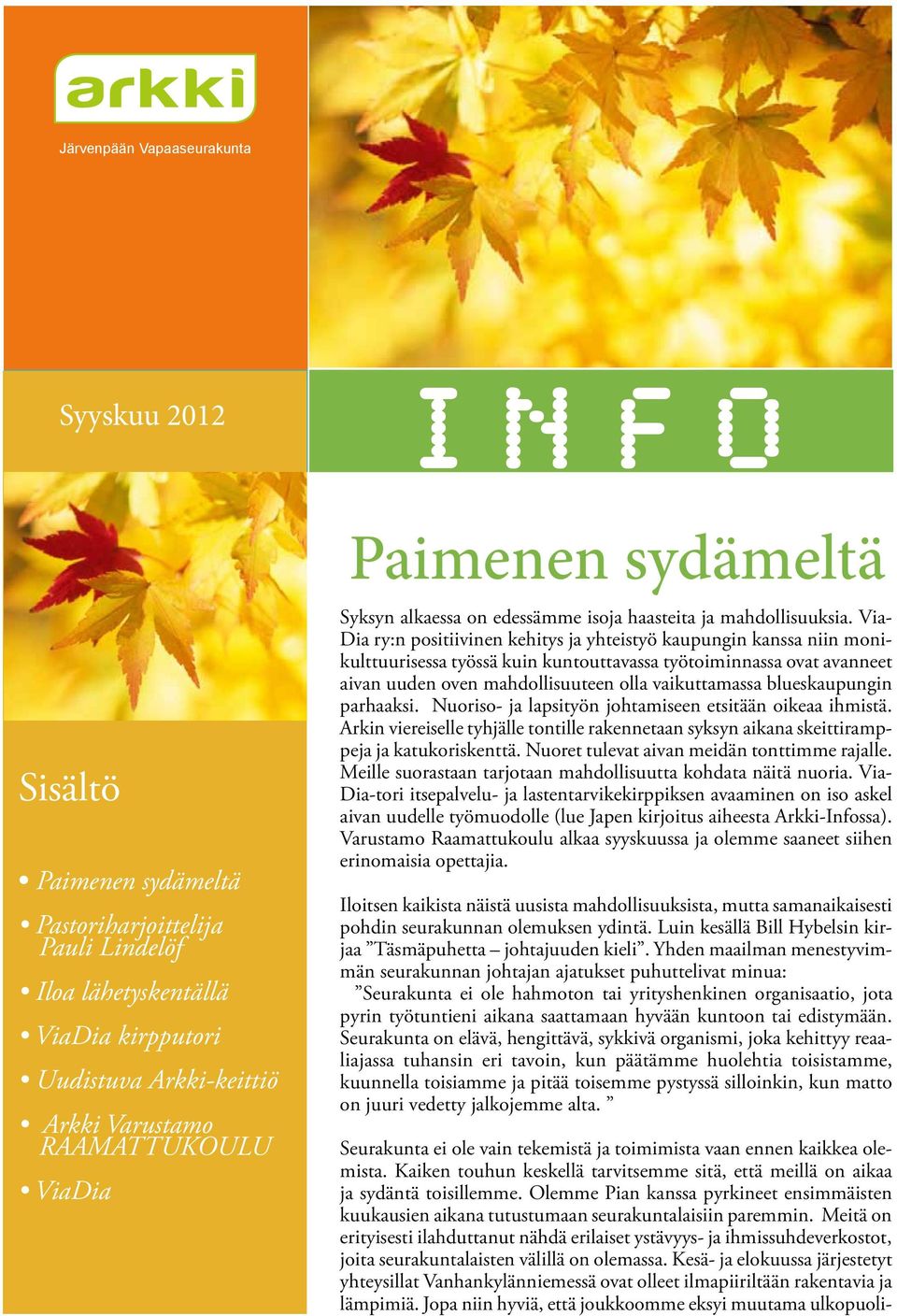 Via- Dia ry:n positiivinen kehitys ja yhteistyö kaupungin kanssa niin monikulttuurisessa työssä kuin kuntouttavassa työtoiminnassa ovat avanneet aivan uuden oven mahdollisuuteen olla vaikuttamassa