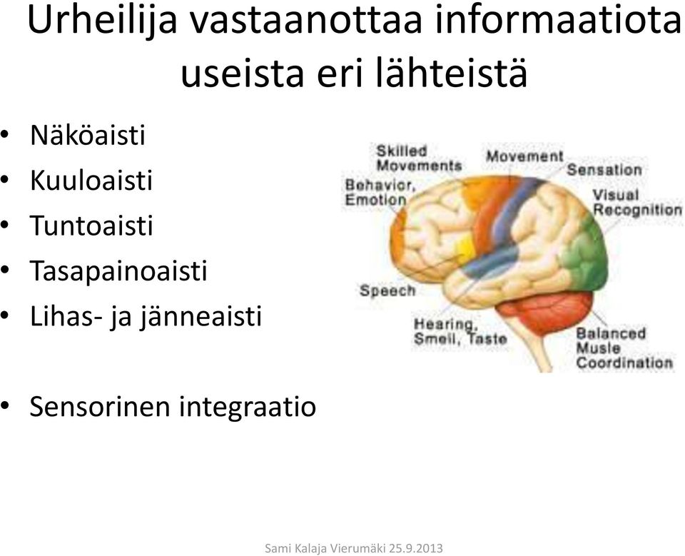 Kuuloaisti Tuntoaisti Tasapainoaisti