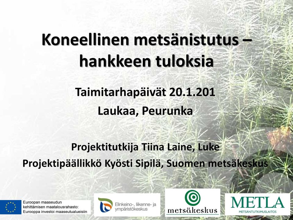 201 Laukaa, Peurunka Projektitutkija Tiina