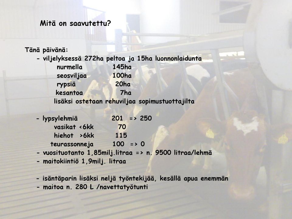 kesantoa 7ha lisäksi ostetaan rehuviljaa sopimustuottajilta - lypsylehmiä 201 => 250 vasikat <6kk 70 hiehot >6kk