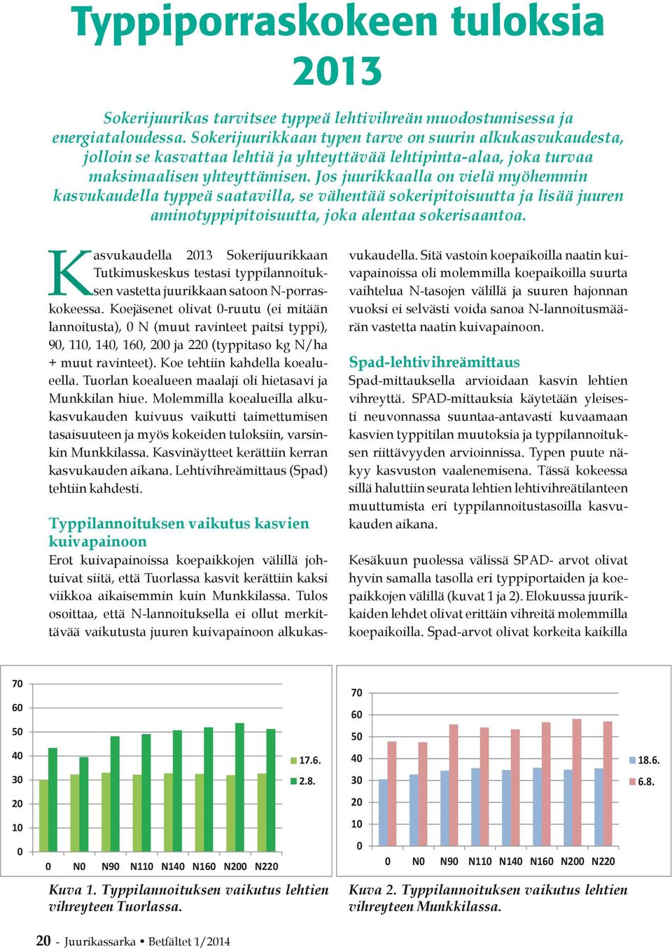 Jos juurikkaalla on vielä myöhemmin kasvukaudella typpeä saatavilla, se vähentää sokeripitoisuutta ja lisää juuren aminotyppipitoisuutta, joka alentaa sokerisaantoa.