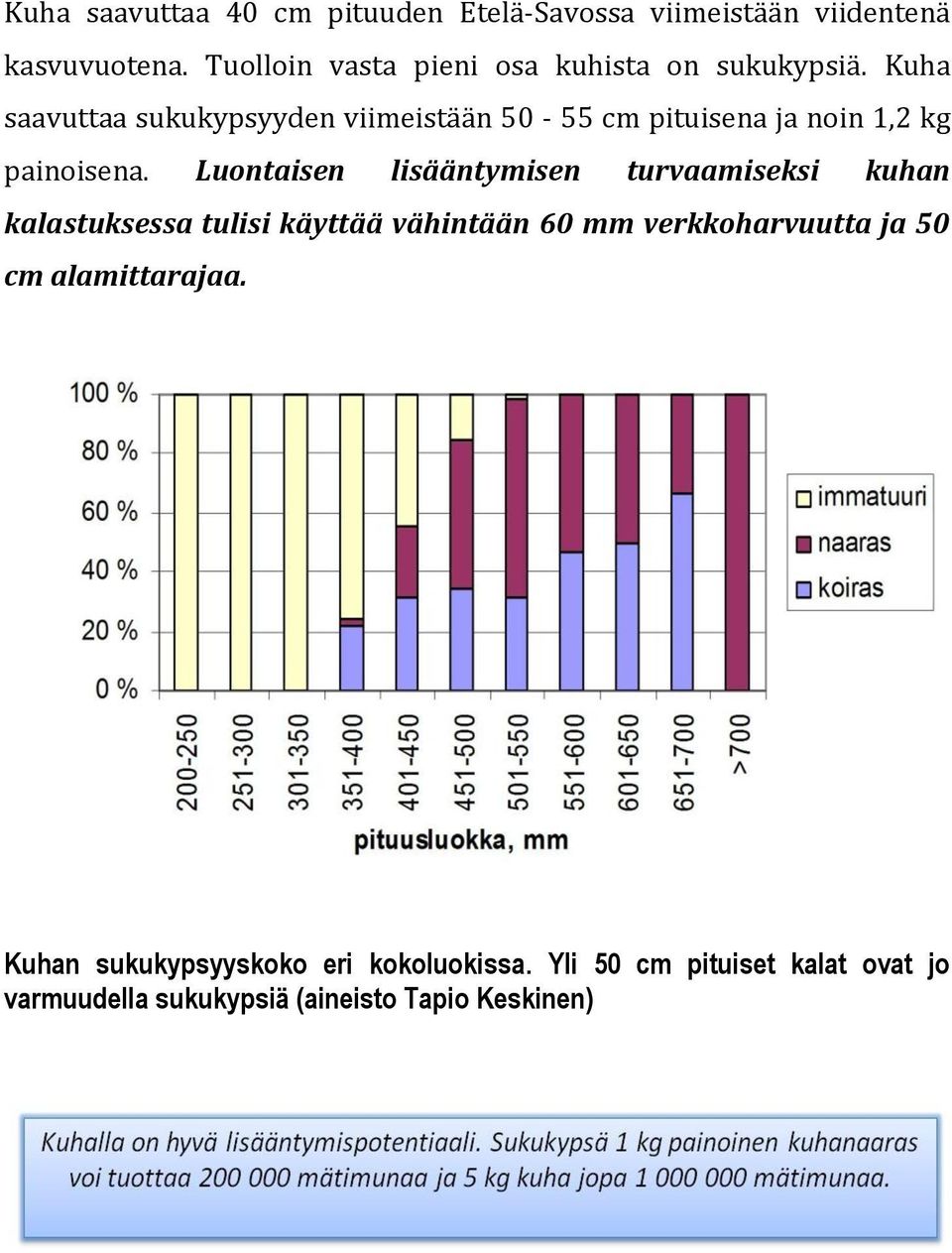 Kuha saavuttaa sukukypsyyden viimeistään 50-55 cm pituisena ja noin 1,2 kg painoisena.