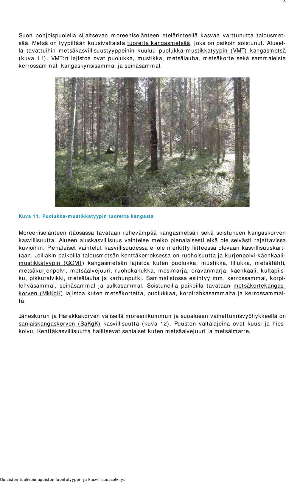 VMT:n lajistoa ovat puolukka, mustikka, metsälauha, metsäkorte sekä sammaleista kerrossammal, kangaskynsisammal ja seinäsammal. Kuva 11.