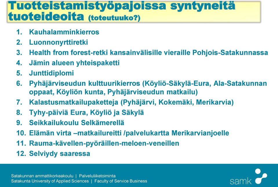 Pyhäjärviseudun kulttuurikierros (Köyliö-Säkylä-Eura, Ala-Satakunnan oppaat, Köyliön kunta, Pyhäjärviseudun matkailu) 7.