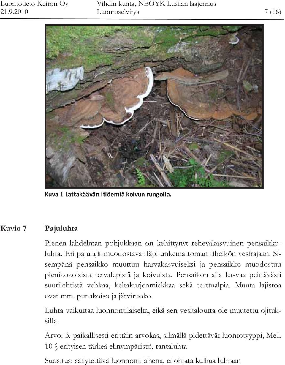 Pensaikon alla kasvaa peittävästi suurilehtistä vehkaa, keltakurjenmiekkaa sekä terttualpia. Muuta lajistoa ovat mm. punakoiso ja järviruoko.