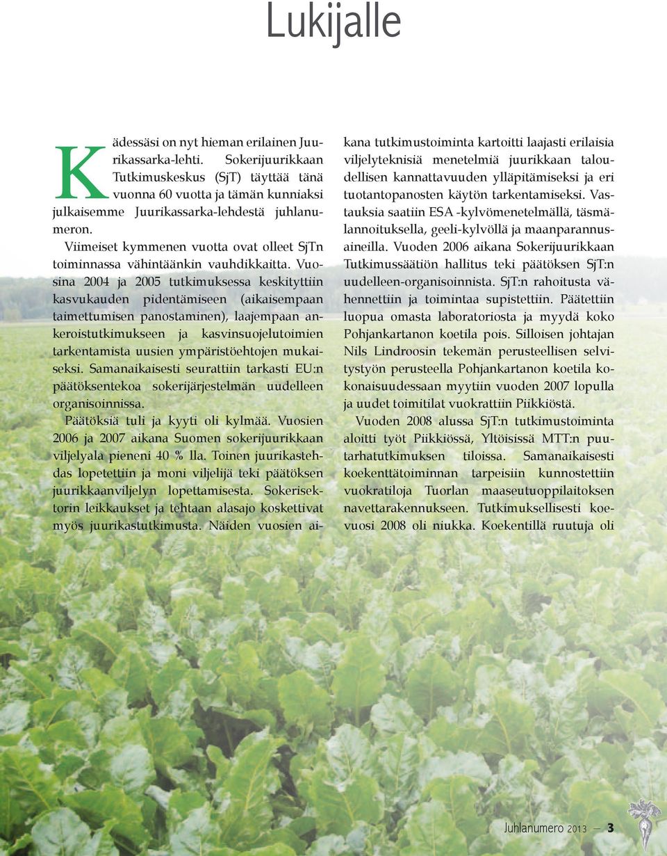 Vuosina 2004 ja 2005 tutkimuksessa keskityttiin kasvukauden pidentämiseen (aikaisempaan taimettumisen panostaminen), laajempaan ankeroistutkimukseen ja kasvinsuojelutoimien tarkentamista uusien