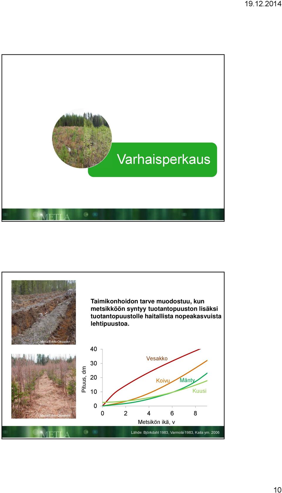 lehtipuustoa.