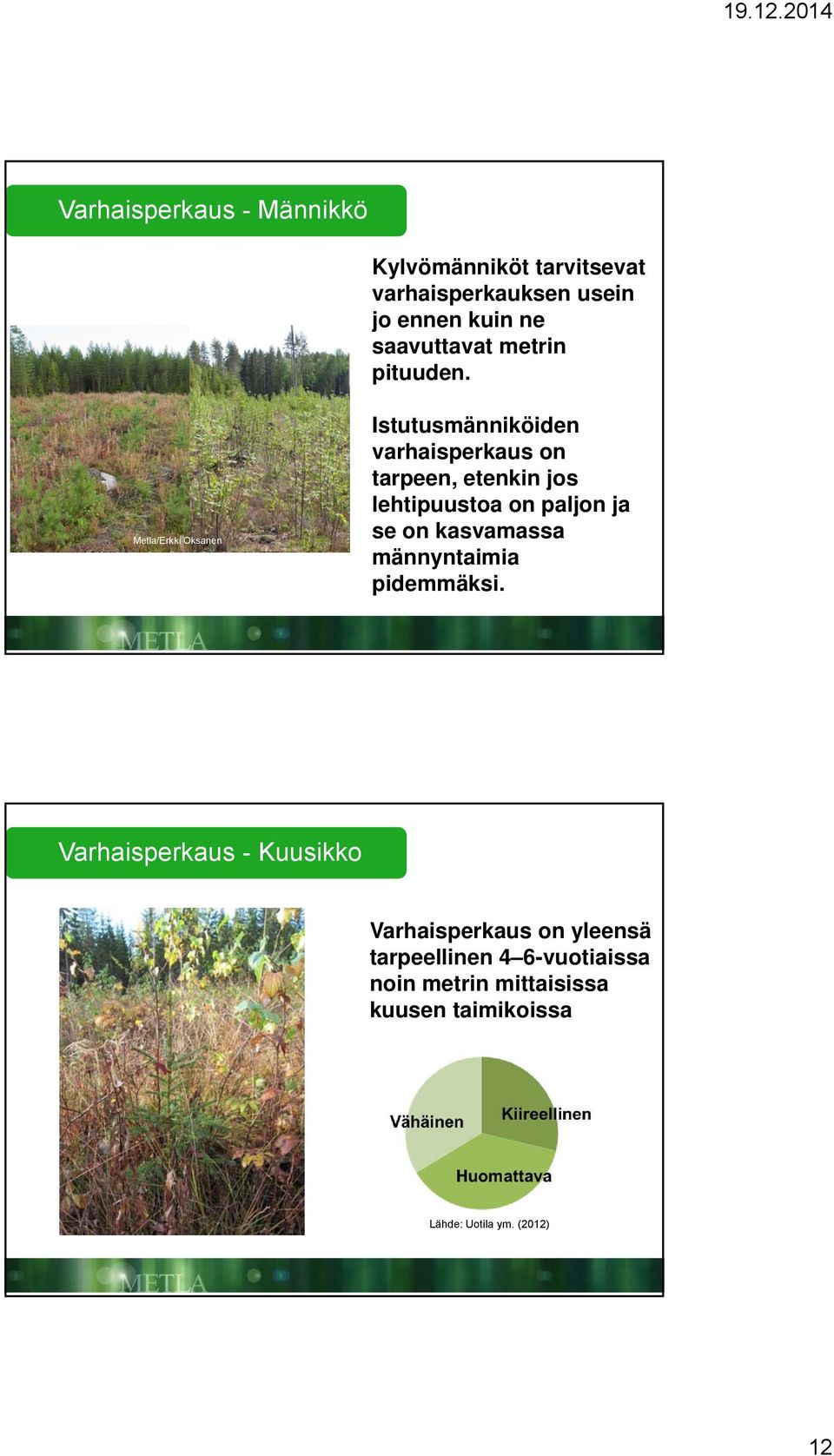 Metla/Erkki Oksanen Istutusmänniköiden varhaisperkaus on tarpeen, etenkin jos lehtipuustoa on paljon ja