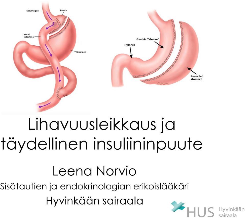 Sisätautien ja endokrinologian