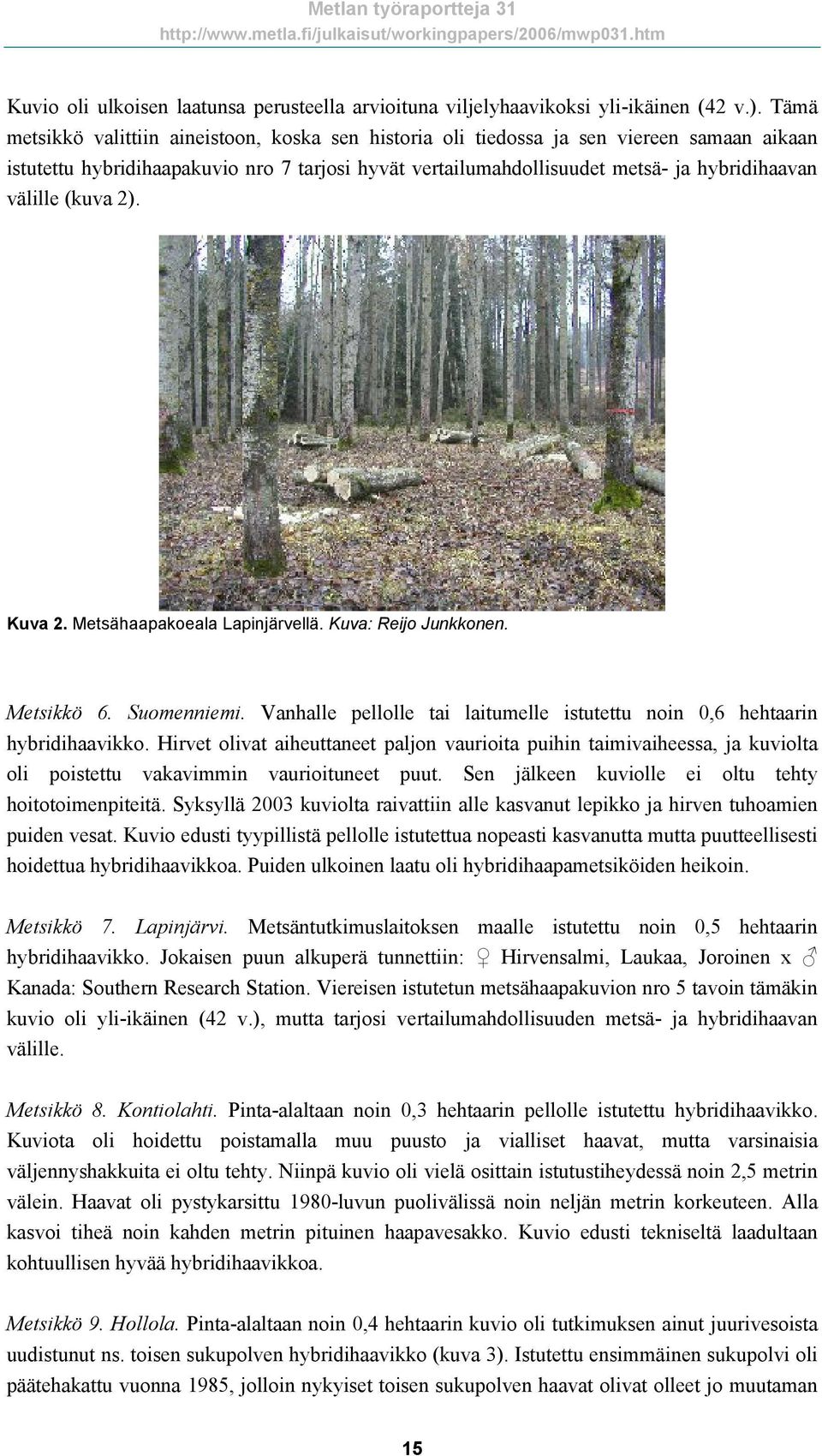 (kuva 2). Kuva 2. Metsähaapakoeala Lapinjärvellä. Kuva: Reijo Junkkonen. Metsikkö 6. Suomenniemi. Vanhalle pellolle tai laitumelle istutettu noin 0,6 hehtaarin hybridihaavikko.