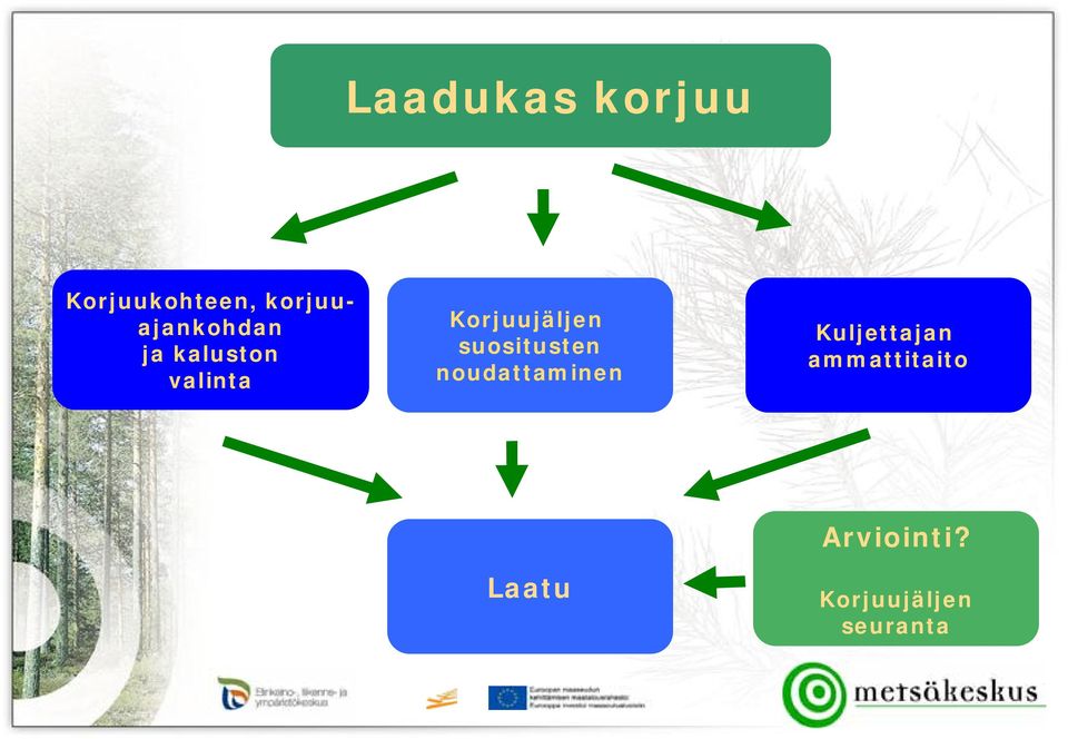 Korjuujäljen suositusten noudattaminen