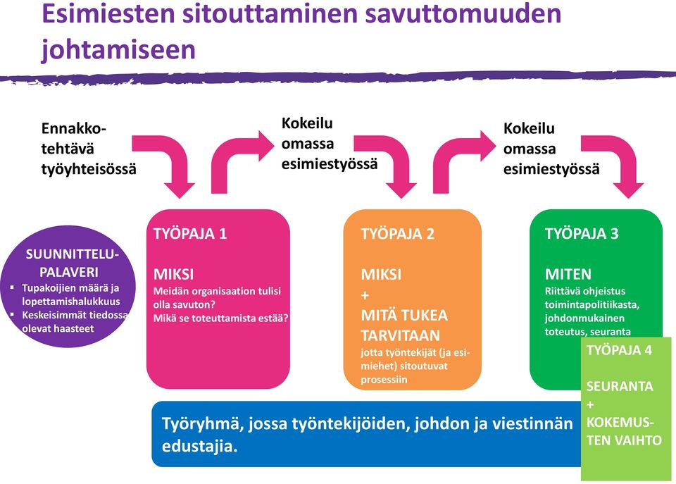 Mikä se toteuttamista estää?