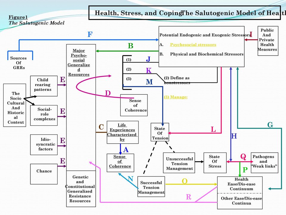 of Coherence Sense of Coherence A B N J K M Potential Endogenic and Exogenic Stressors A. Psychesocial stressors B.