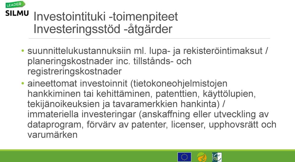 tillstånds- och registreringskostnader aineettomat investoinnit (tietokoneohjelmistojen hankkiminen tai