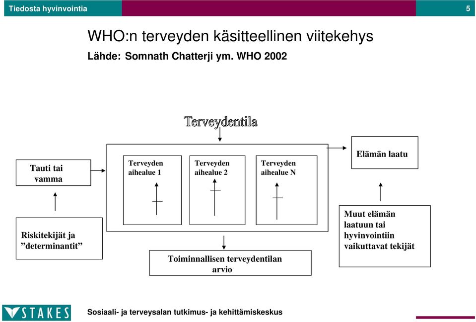 WHO 2002 Tauti tai vamma Terveyden aihealue 1 Terveyden aihealue 2 Terveyden