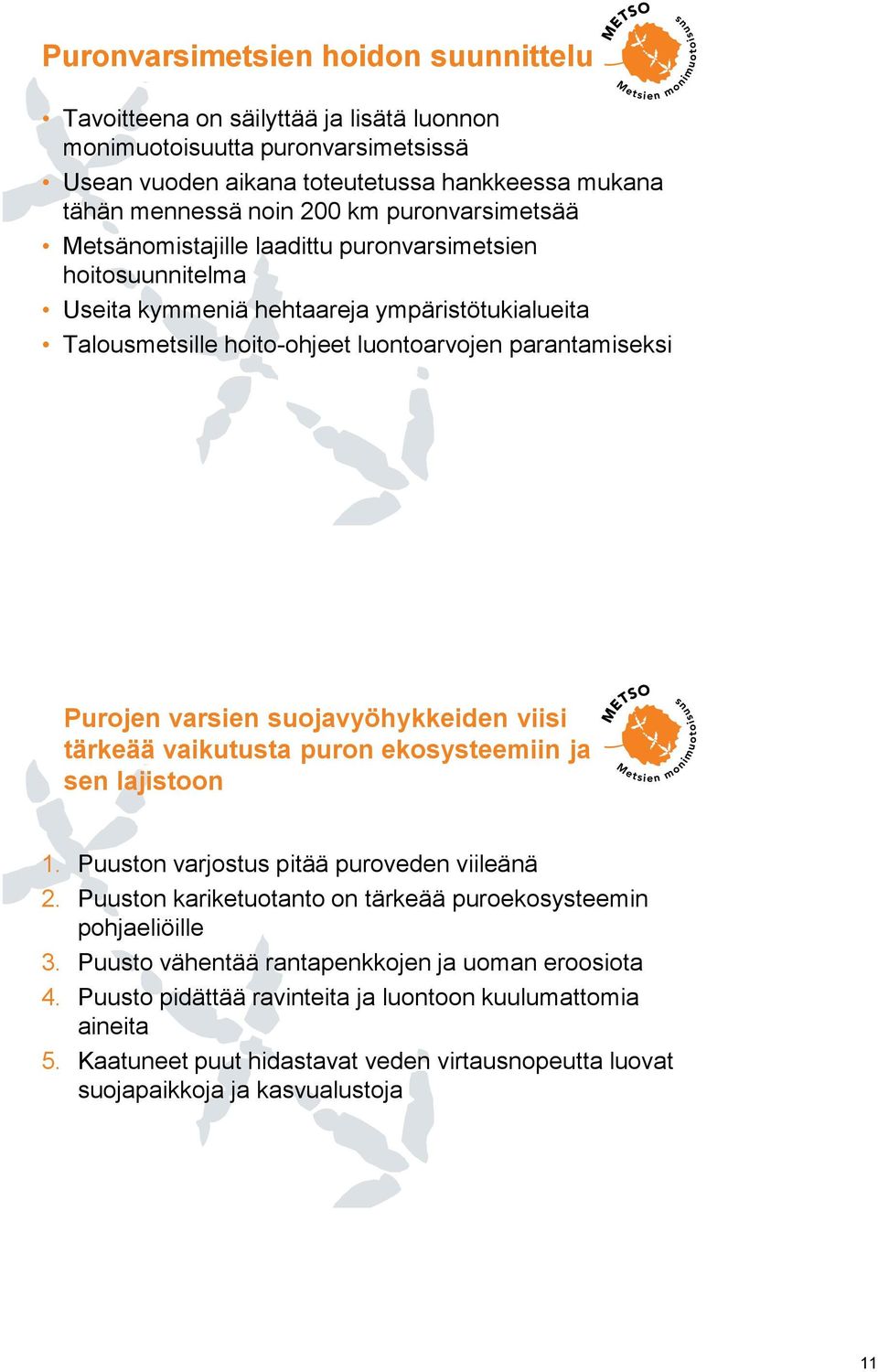 varsien suojavyöhykkeiden viisi tärkeää vaikutusta puron ekosysteemiin ja sen lajistoon 1. Puuston varjostus pitää puroveden viileänä 2.