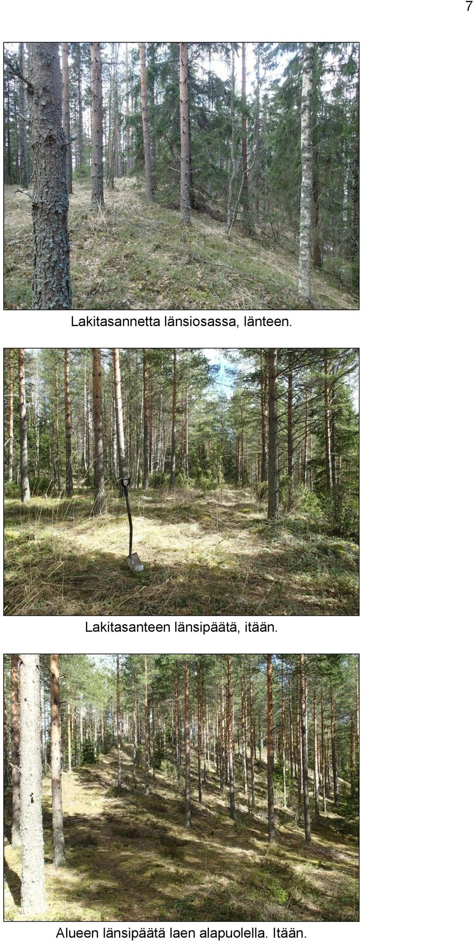 Lakitasanteen länsipäätä,