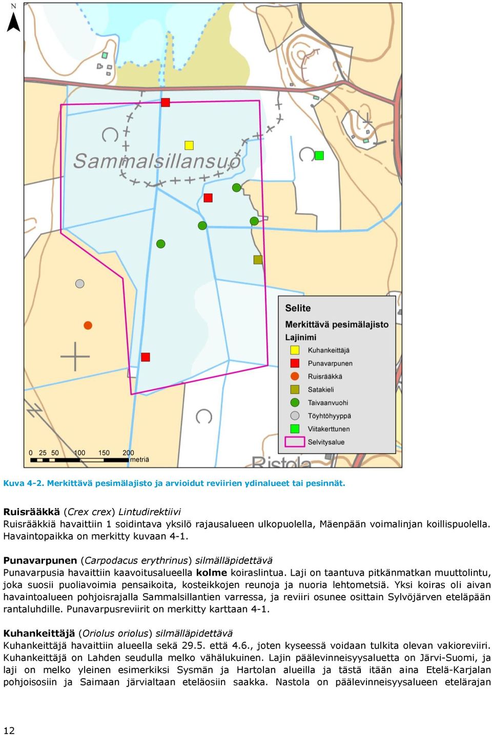 Punavarpunen (Carpodacus erythrinus) silmälläpidettävä Punavarpusia havaittiin kaavoitusalueella kolme koiraslintua.