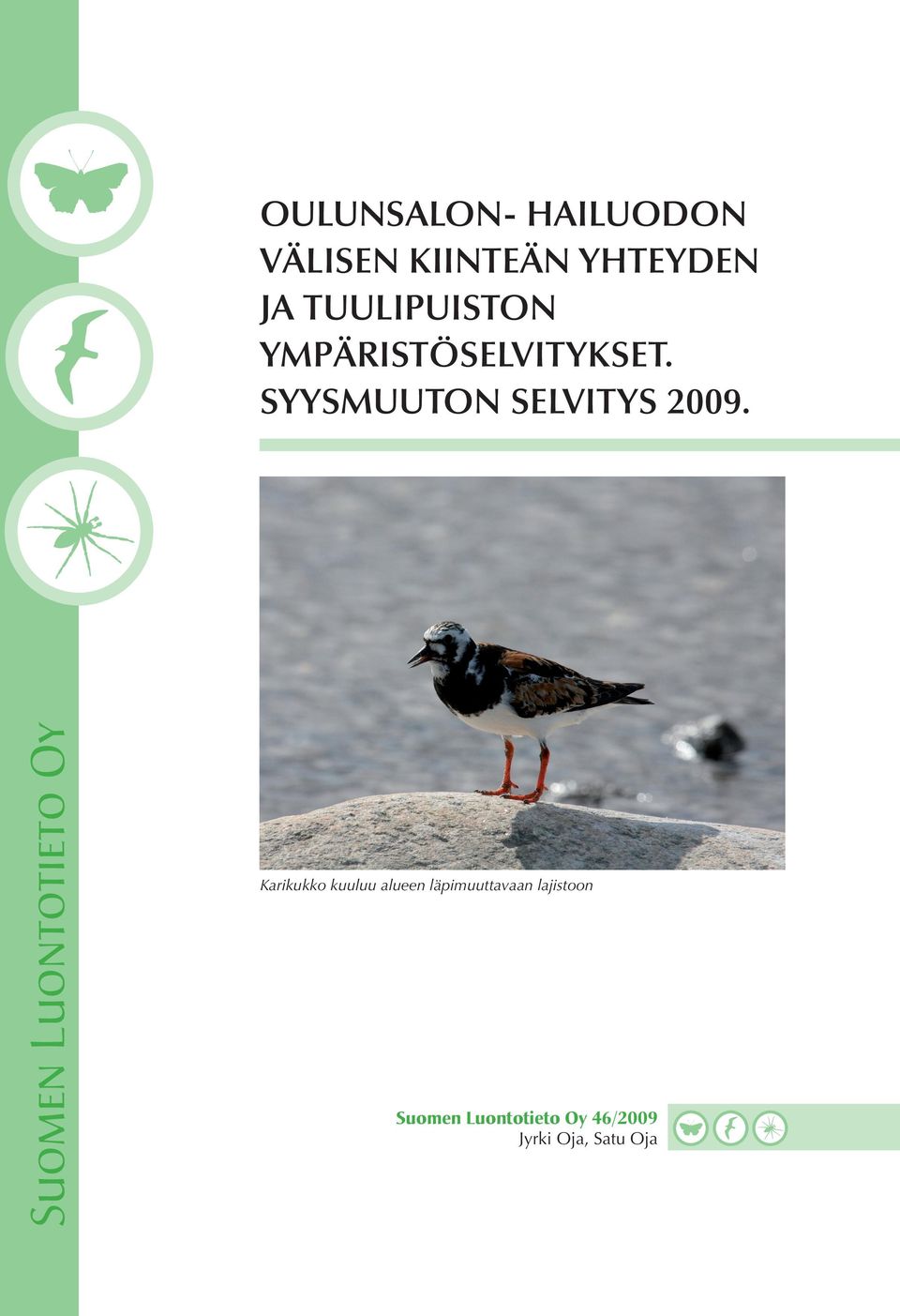 syysmuuton selvitys 2009.