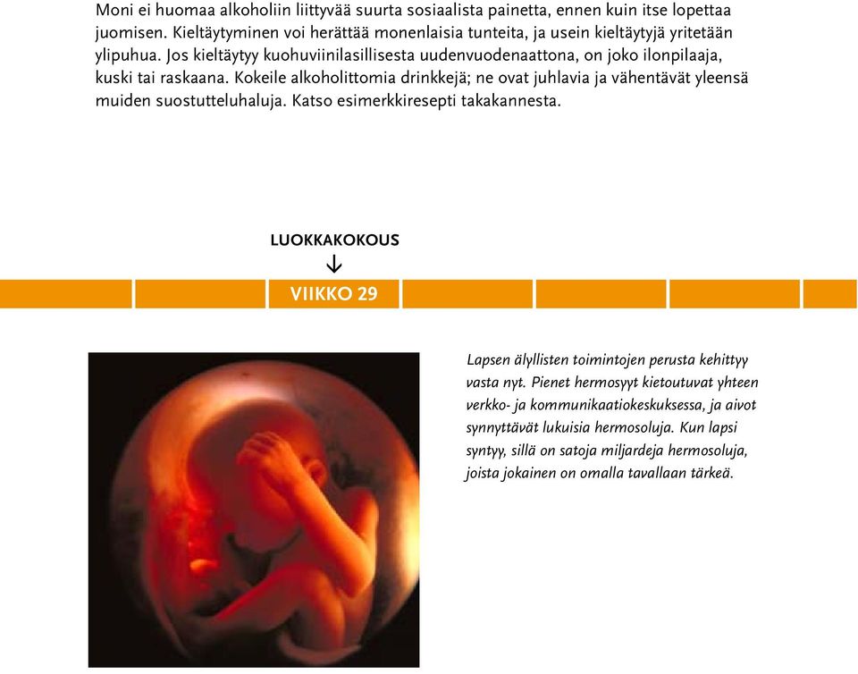 Jos kieltäytyy kuohuviinilasillisesta uudenvuodenaattona, on joko ilonpilaaja, kuski tai raskaana.