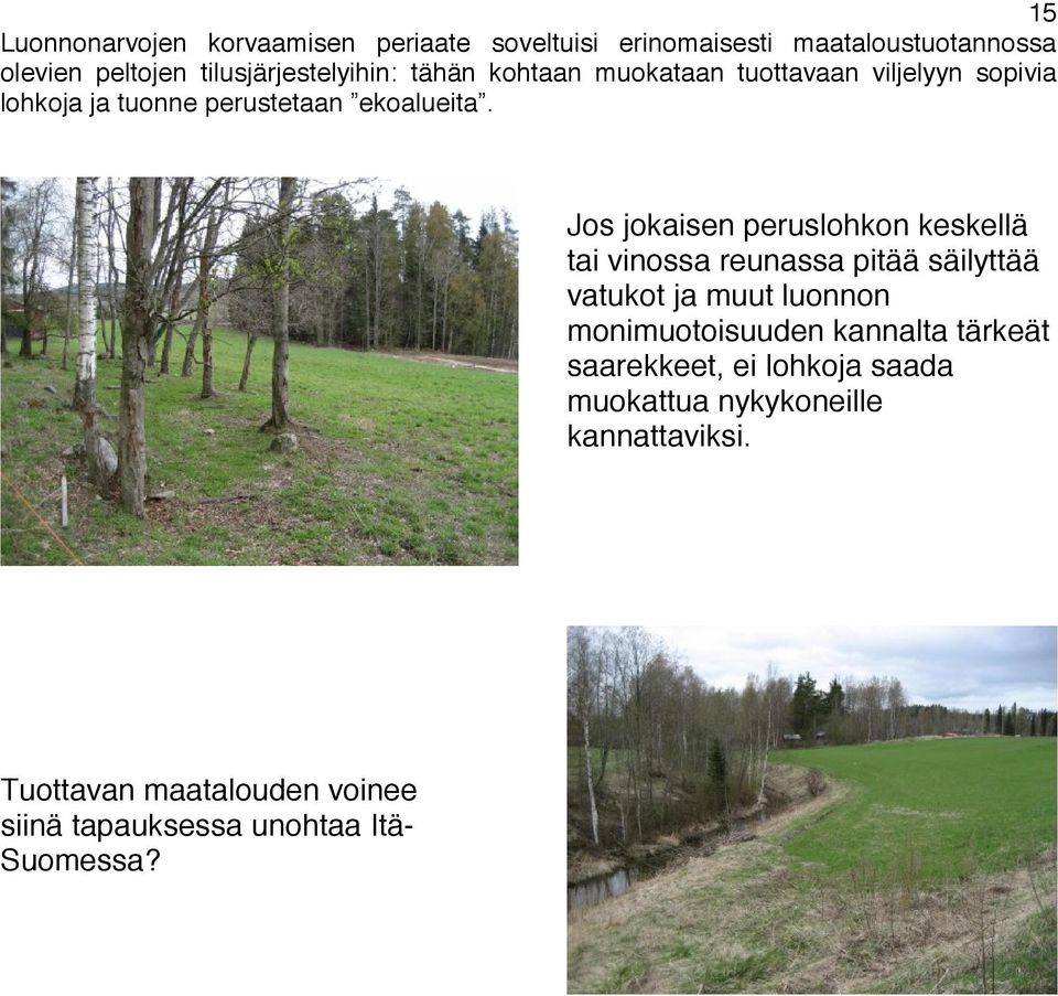 Jos jokaisen peruslohkon keskellä tai vinossa reunassa pitää säilyttää vatukot ja muut luonnon monimuotoisuuden kannalta