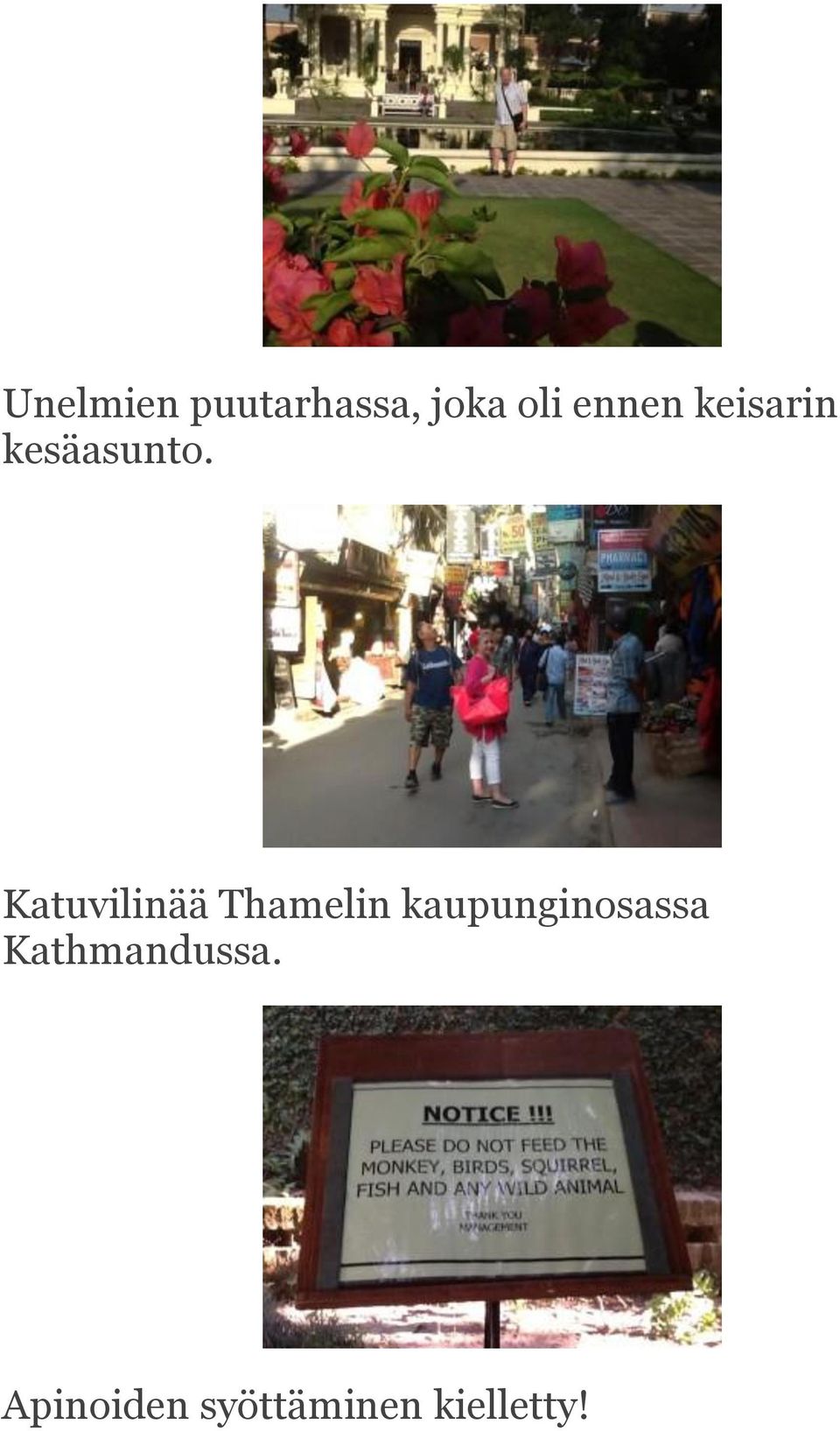Katuvilinää Thamelin