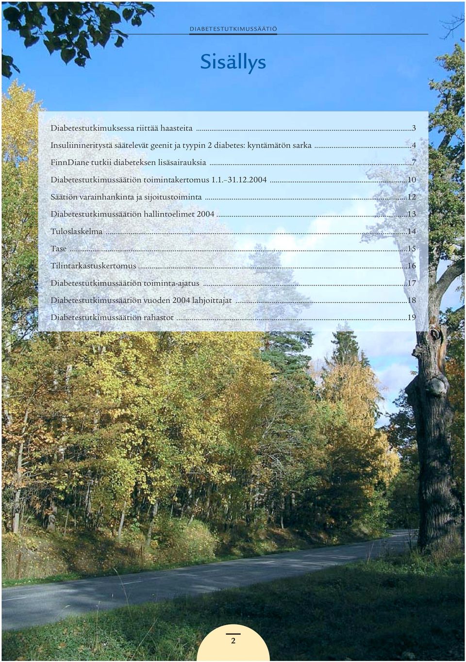 ..10 Säätiön varainhankinta ja sijoitustoiminta...12 Diabetestutkimussäätiön hallintoelimet 2004...13 Tuloslaskelma...14 Tase.