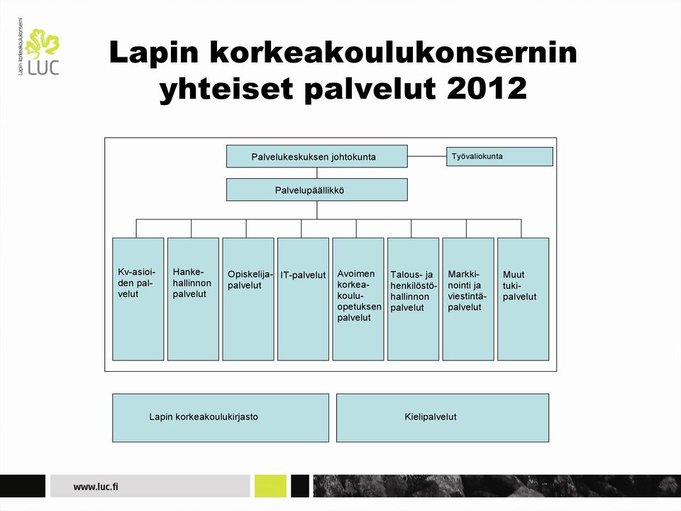 Opiskelijapalvelut IT-palvelut Avoimen korkeakouluopetuksen palvelut Talous- ja