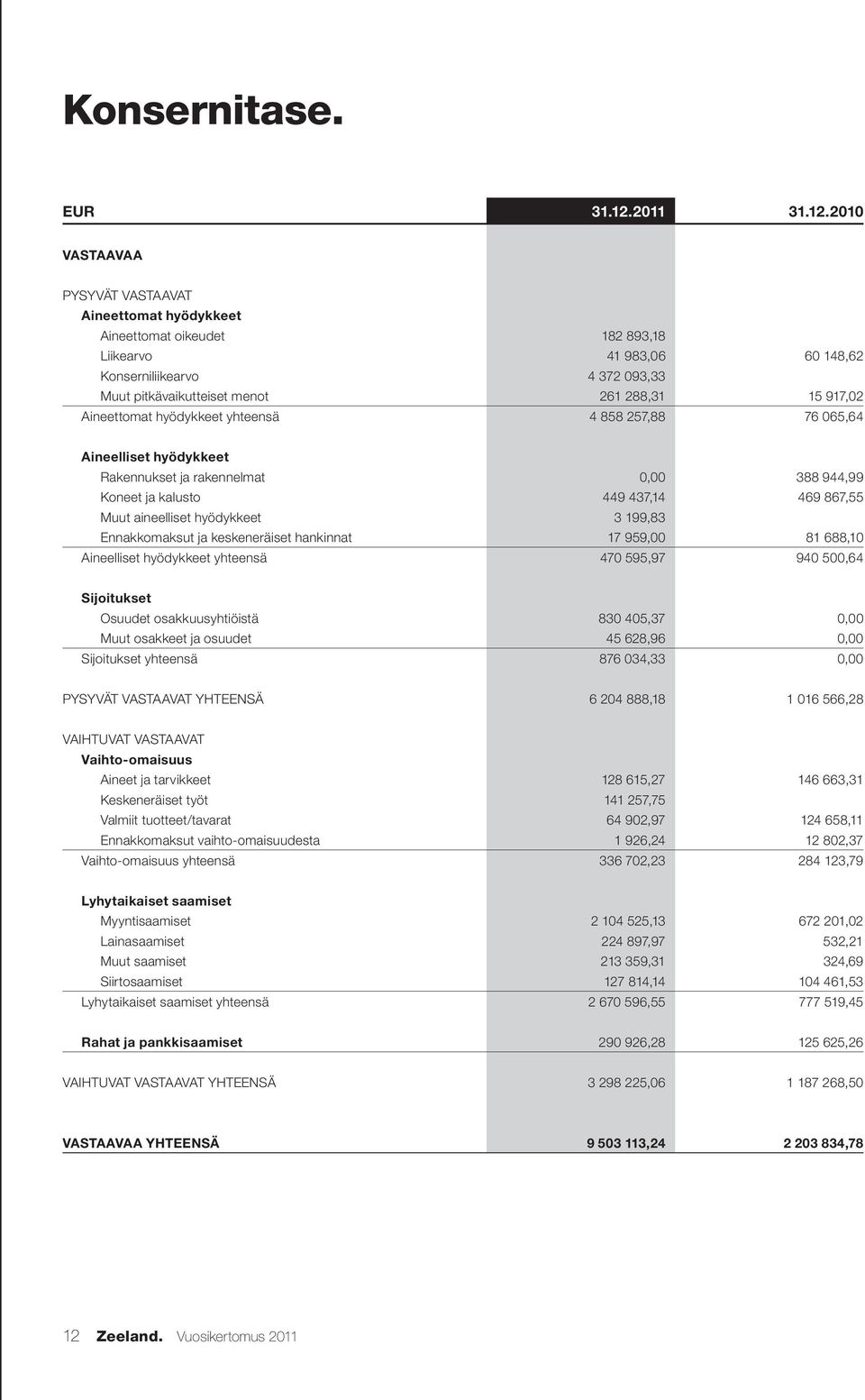 2010 VASTAAVAA PYSYVÄT VASTAAVAT Aineettomat hyödykkeet Aineettomat oikeudet 182 893,18 Liikearvo 41 983,06 60 148,62 Konserniliikearvo 4 372 093,33 Muut pitkävaikutteiset menot 261 288,31 15 917,02