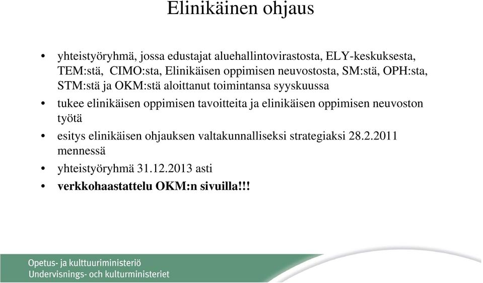 elinikäisen oppimisen tavoitteita ja elinikäisen oppimisen neuvoston työtä esitys elinikäisen ohjauksen