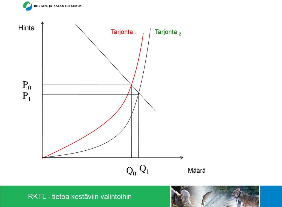 Tarjonta 2 P