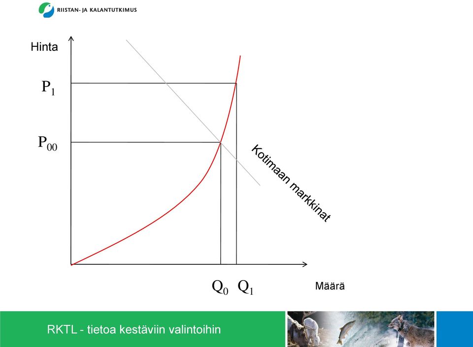 Q 1 Määrä