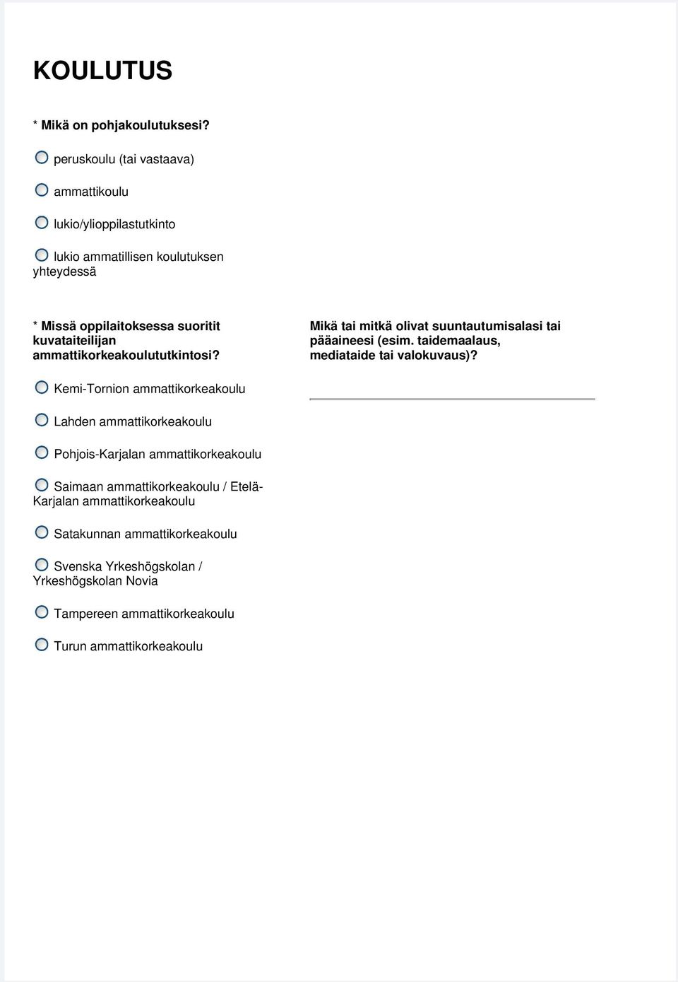 kuvataiteilijan ammattikorkeakoulututkintosi? Mikä tai mitkä olivat suuntautumisalasi tai pääaineesi (esim. taidemaalaus, mediataide tai valokuvaus)?