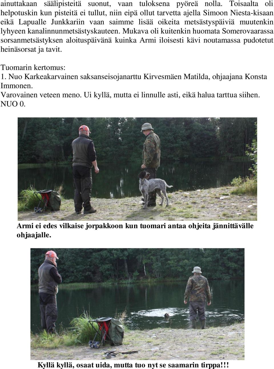 kanalinnunmetsästyskauteen. Mukava oli kuitenkin huomata Somerovaarassa sorsanmetsästyksen aloituspäivänä kuinka Armi iloisesti kävi noutamassa pudotetut heinäsorsat ja tavit.