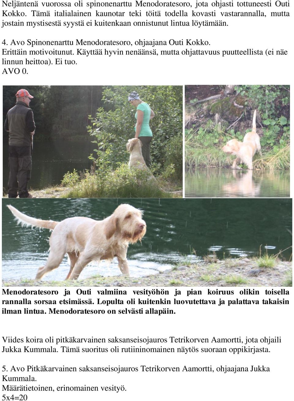 Avo Spinonenarttu Menodoratesoro, ohjaajana Outi Kokko. Erittäin motivoitunut. Käyttää hyvin nenäänsä, mutta ohjattavuus puutteellista (ei näe linnun heittoa). Ei tuo. AVO 0.