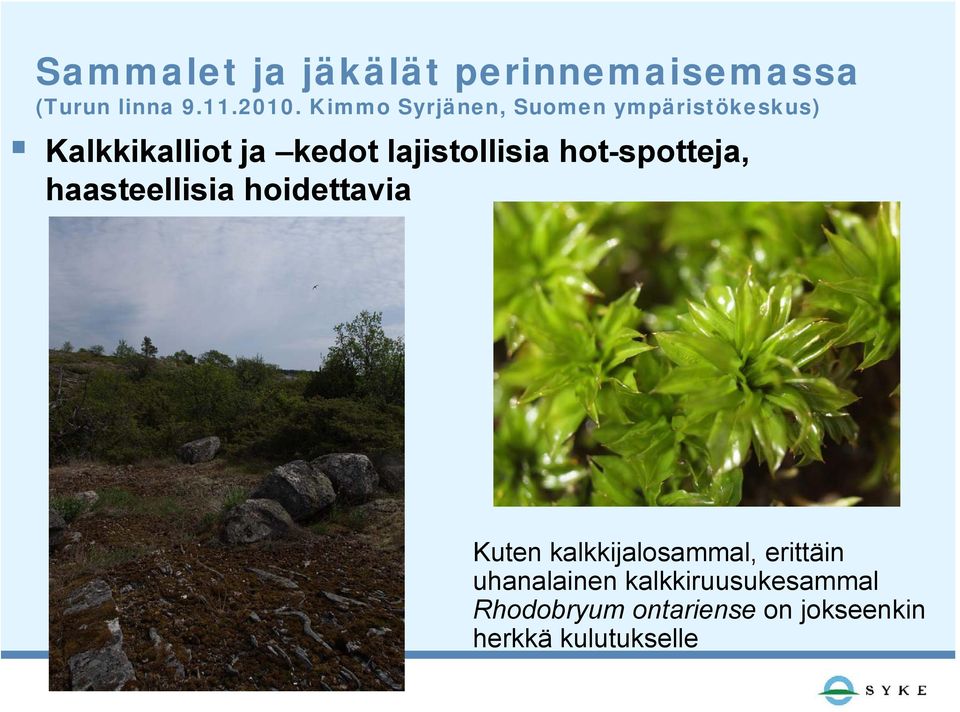 kalkkijalosammal, erittäin uhanalainen