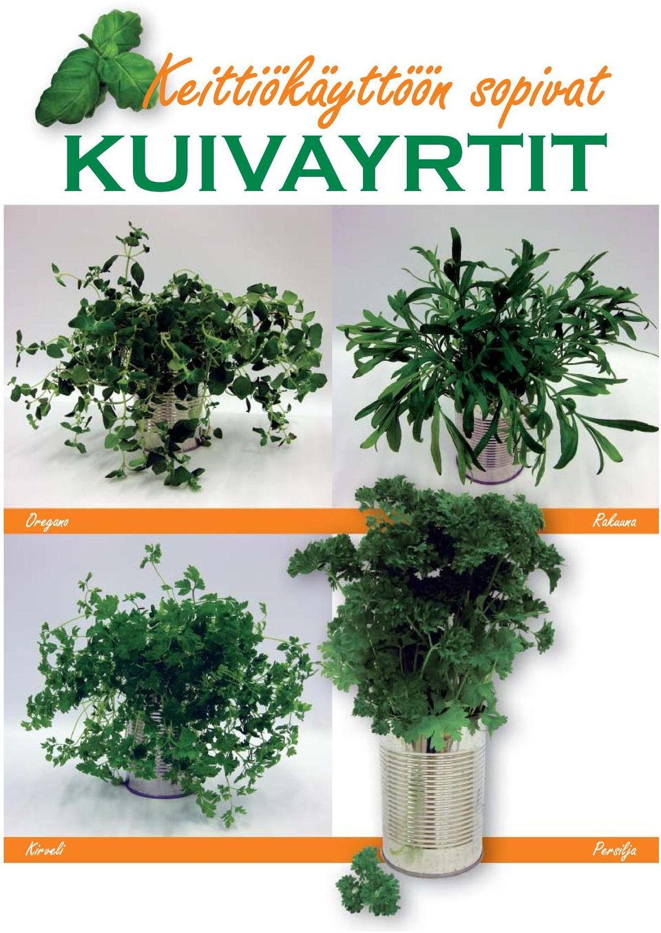 KUIVAYRTIT