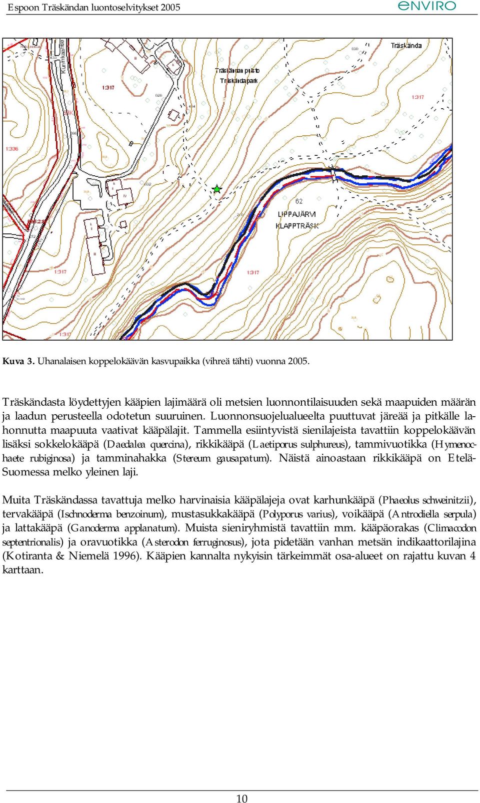 Luonnonsuojelualueelta puuttuvat järeää ja pitkälle lahonnutta maapuuta vaativat kääpälajit.