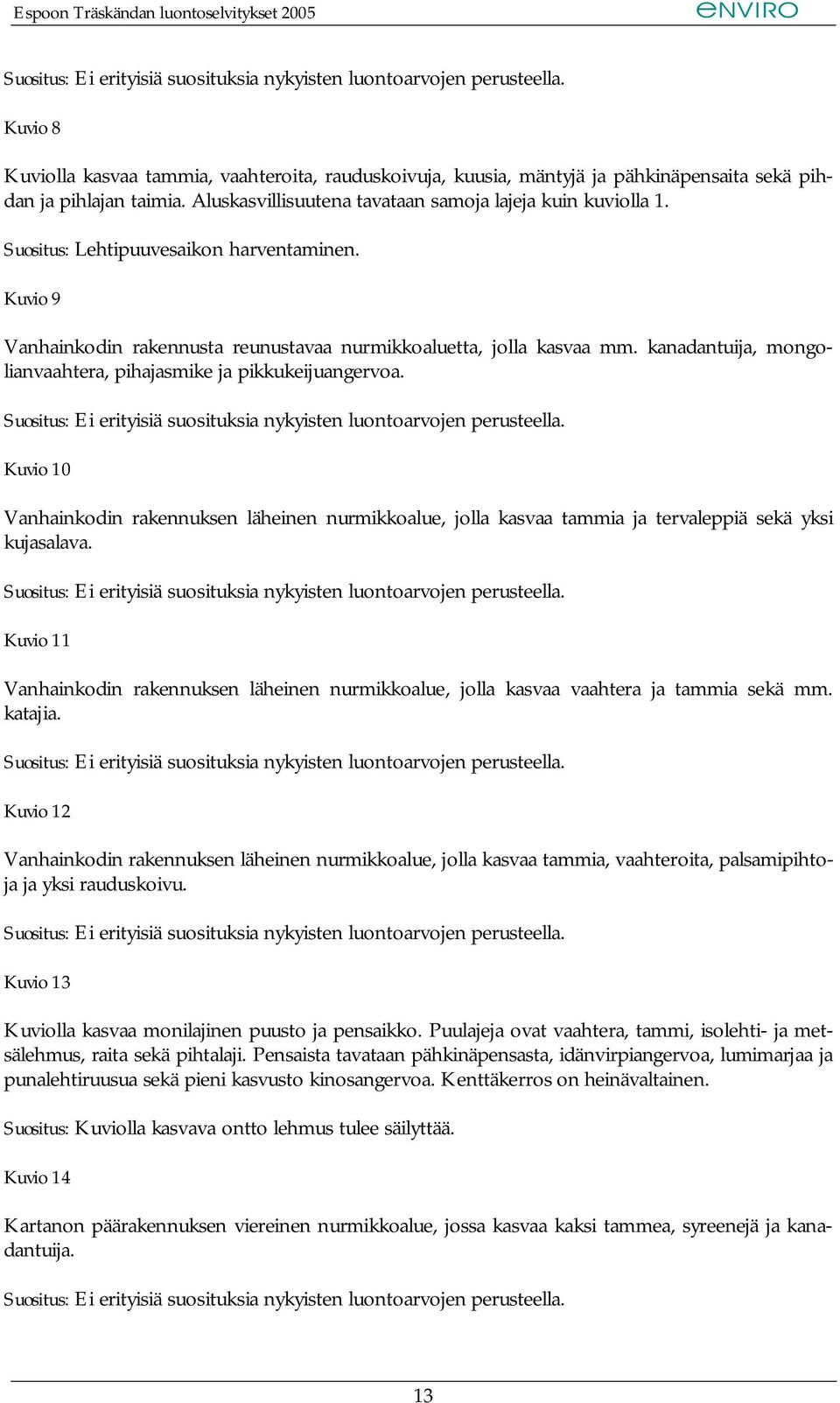 Kuvio 10 Vanhainkodin rakennuksen läheinen nurmikkoalue, jolla kasvaa tammia ja tervaleppiä sekä yksi kujasalava.