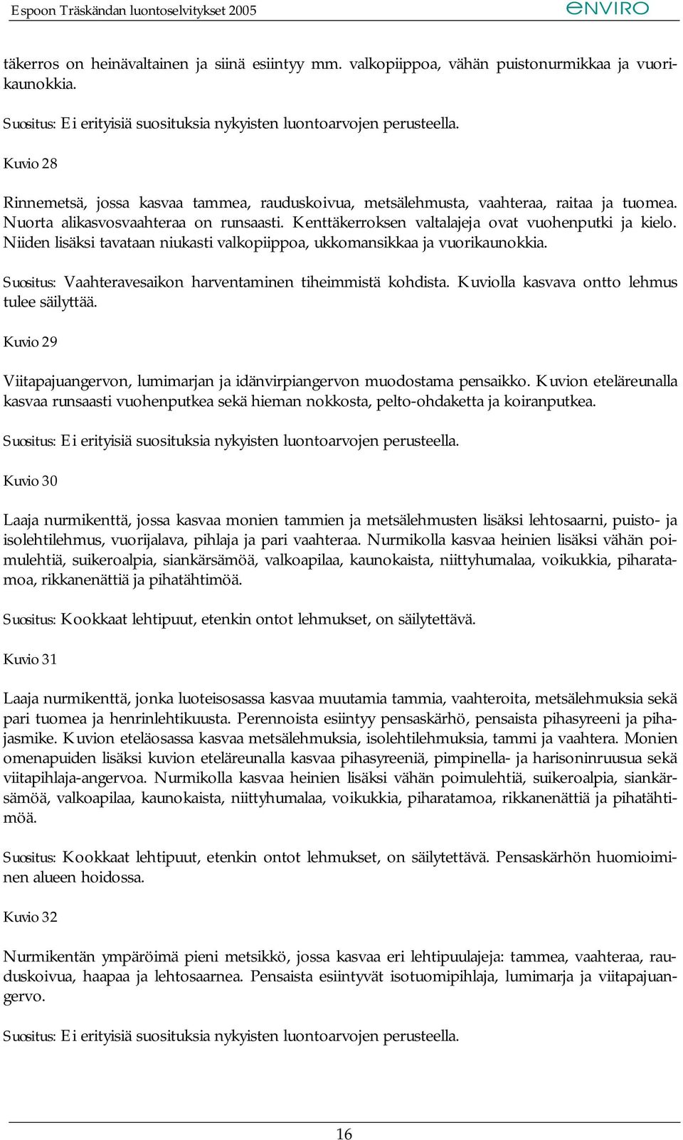 Niiden lisäksi tavataan niukasti valkopiippoa, ukkomansikkaa ja vuorikaunokkia. Suositus: Vaahteravesaikon harventaminen tiheimmistä kohdista. Kuviolla kasvava ontto lehmus tulee säilyttää.