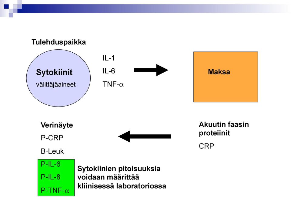 P-TNF-α Sytokiinien pitoisuuksia voidaan määrittää