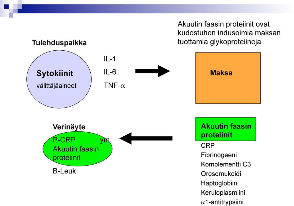 Verinäyte P-CRP ym.