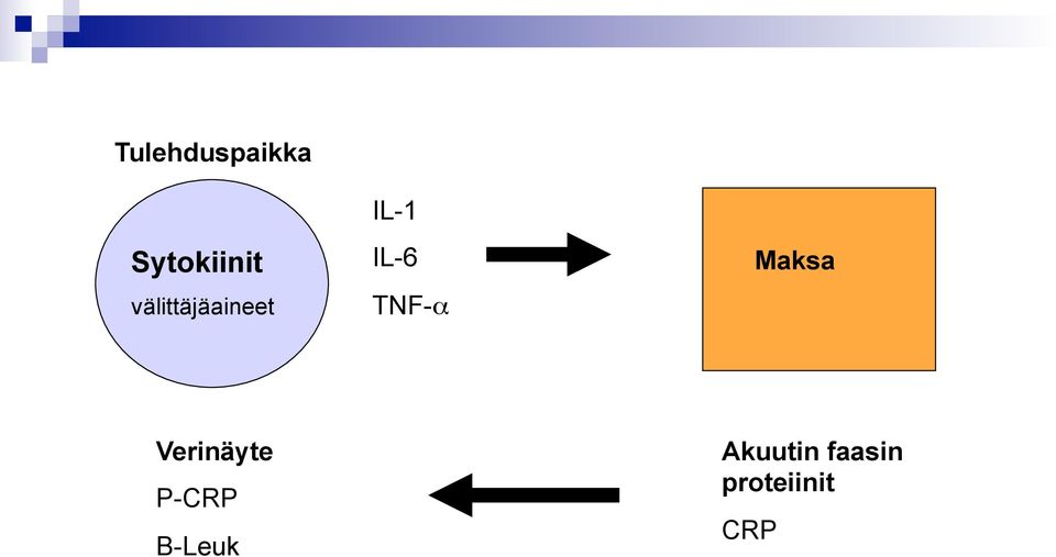 TNF-α Maksa Verinäyte P-CRP