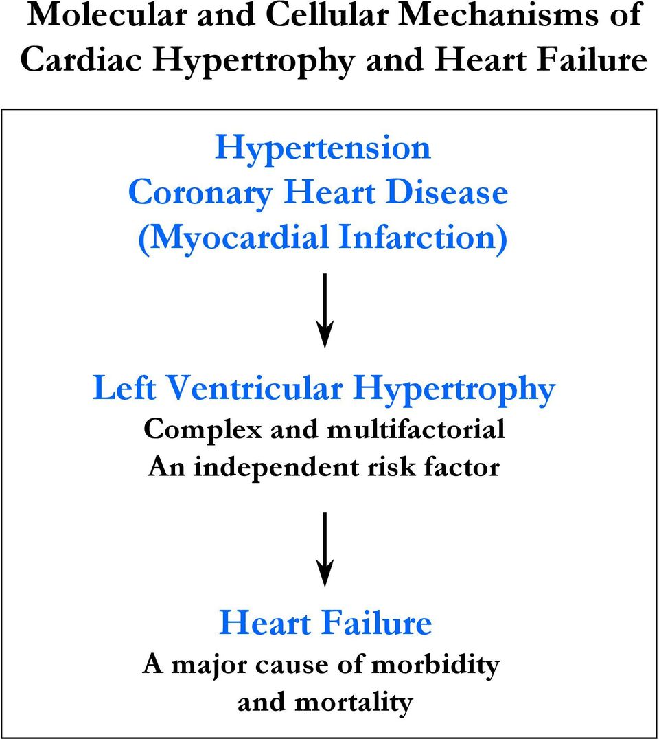Left Ventricular Hypertrophy Complex and multifactorial An