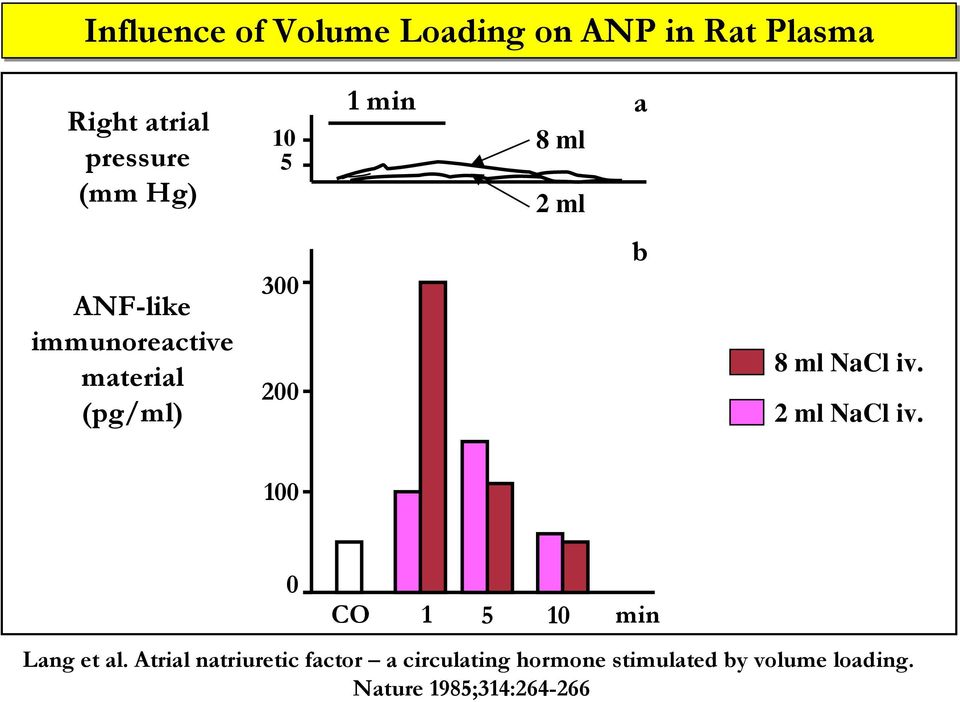 NaCl iv. 2 ml NaCl iv. 100 0 CO 1 5 10 min Lang et al.