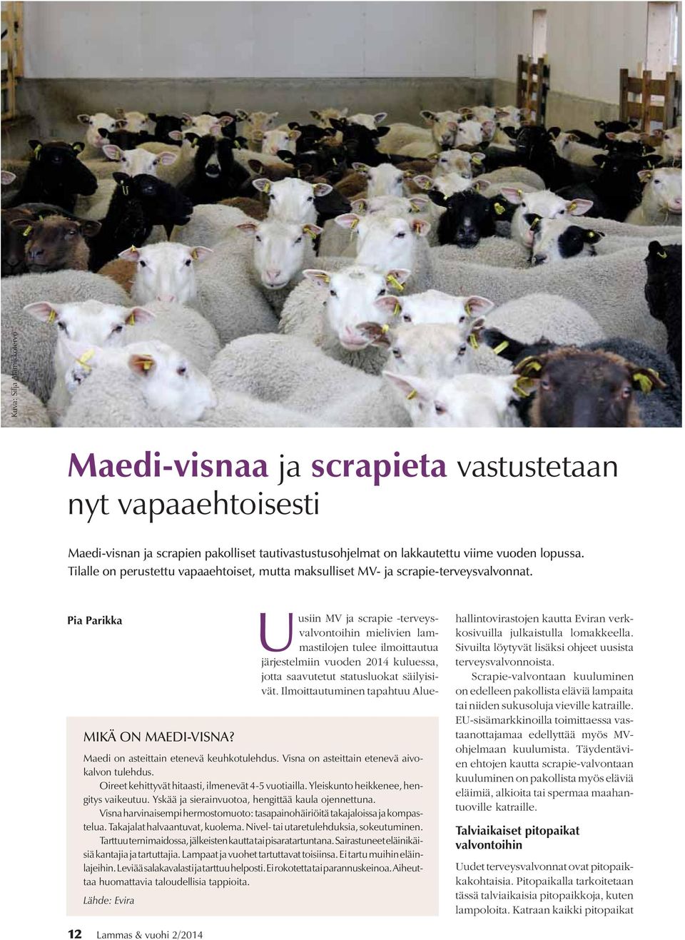 Uusiin MV ja scrapie -terveysvalvontoihin mielivien lammastilojen tulee ilmoittautua järjestelmiin vuoden 2014 kuluessa, jotta saavutetut statusluokat säilyisivät.