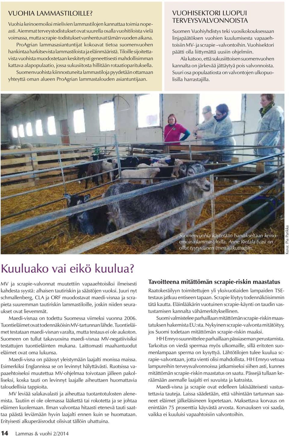 ProAgrian lammasasiantuntijat kokoavat tietoa suomenvuohen hankintaa harkitsevista lammastiloista ja eläinmääristä.