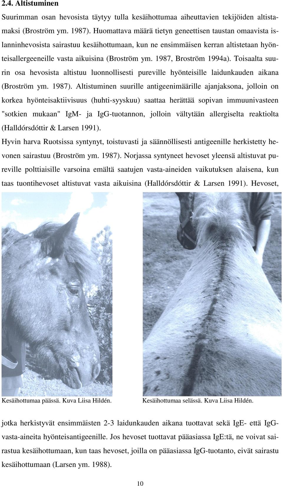 1987, Broström 1994a). Toisaalta suurin osa hevosista altistuu luonnollisesti pureville hyönteisille laidunkauden aikana (Broström ym. 1987).